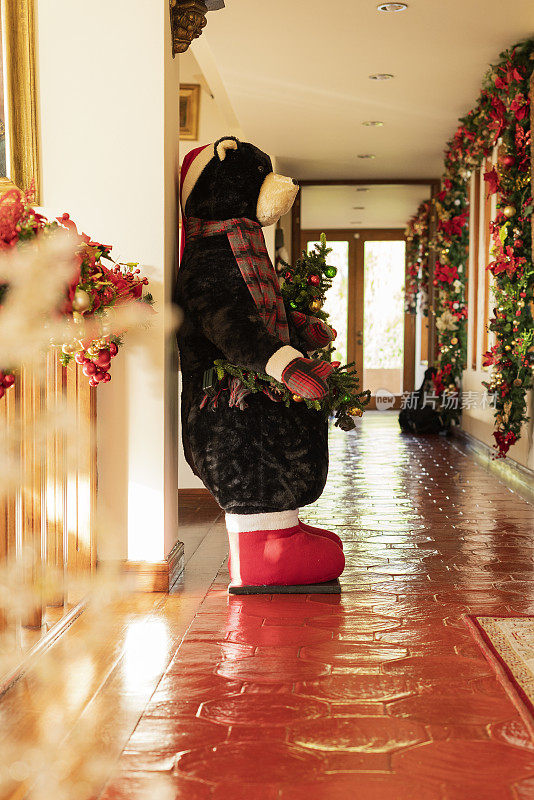 圣诞节装饰的一个房子的客厅