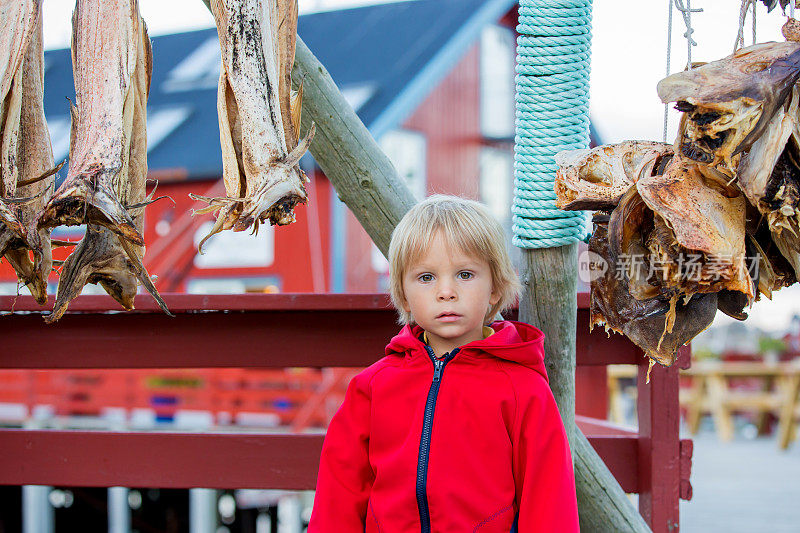 挪威罗浮敦群岛西南村庄A村的广场上，一个蹒跚学步的孩子看着挂在广场上的干鱼