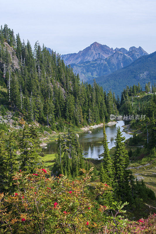 贝克山休闲区希瑟草地的风景