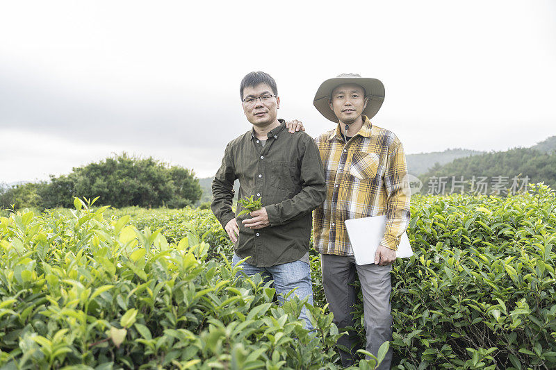 两位中国男科学家在有机茶园合影