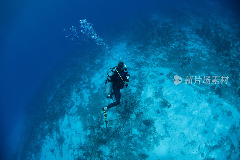 戴水肺的潜水员下行