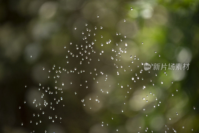 宏观冻结框架的水滴在空气中，已喷洒微灌