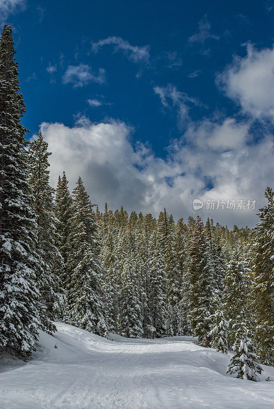 科罗拉多州布雷肯里奇的冬季风景