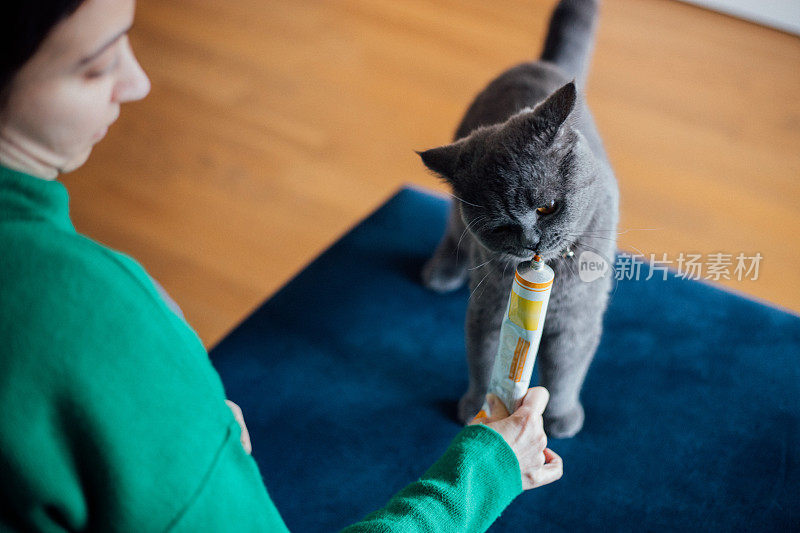 猫吃麦芽有助于消除毛球