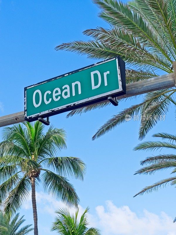迈阿密南海滩上有棕榈树的海洋大道路牌