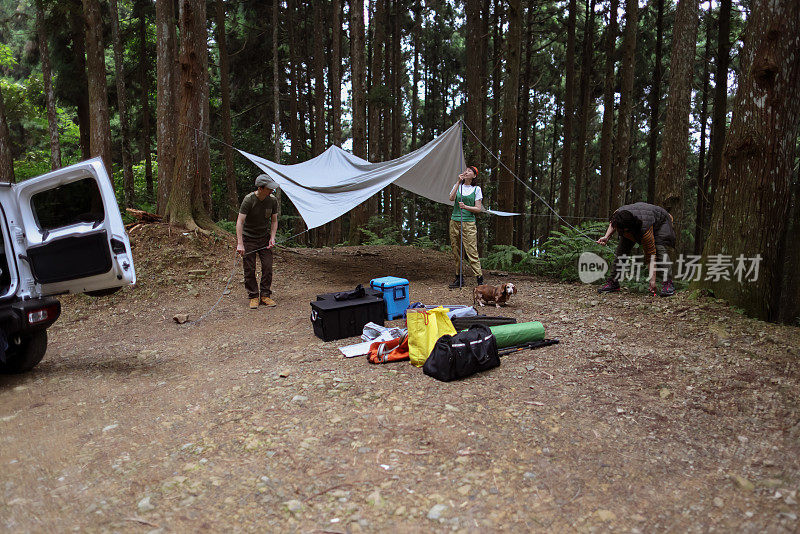 合作在高山森林路上搭帐篷