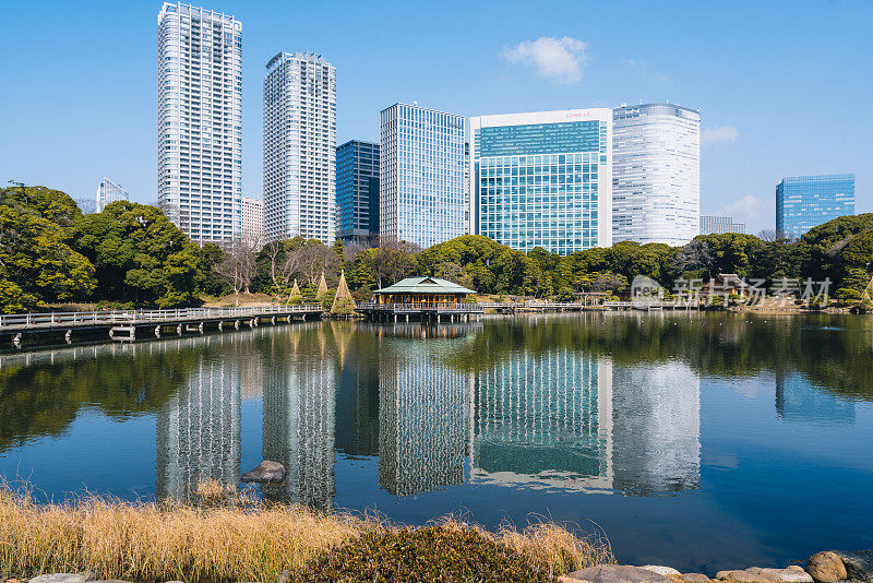 早春的滨水花园，日本，东京，中央地区