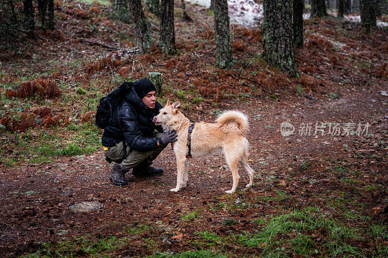 冬天的森林，一个人和他的宠物狗在高大的松树间亲密无间。