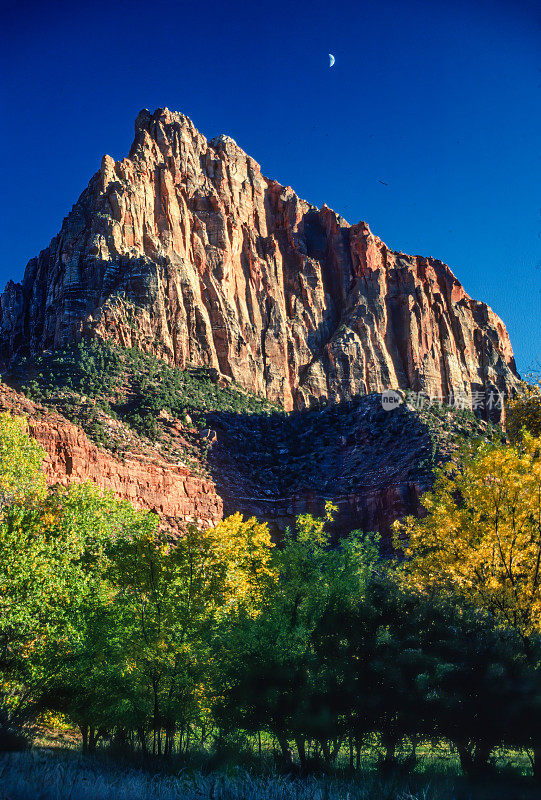 守望者由来自犹他州锡安国家公园山谷的纳瓦霍砂岩组成。