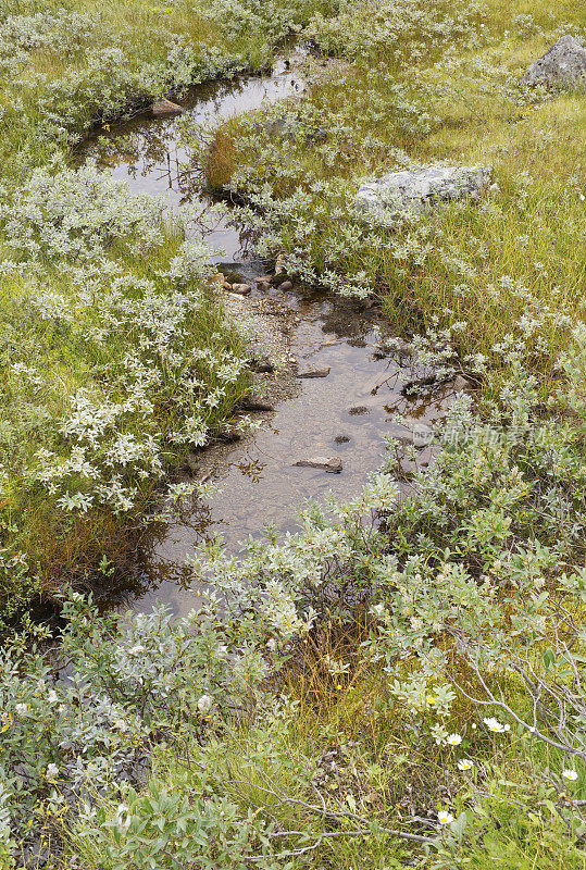 约敦海门国家公园的s形溪流湿地