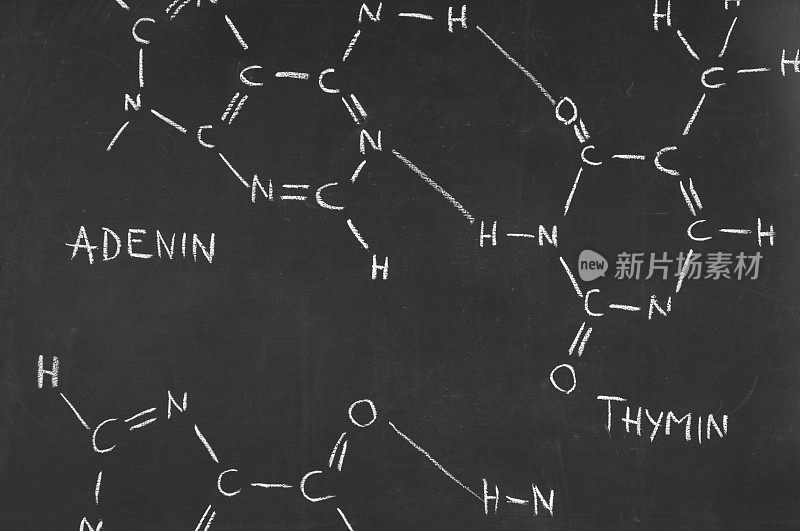 黑板上DNA的化学式