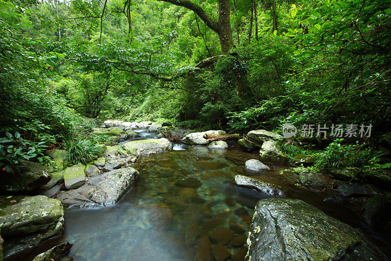 高山流水