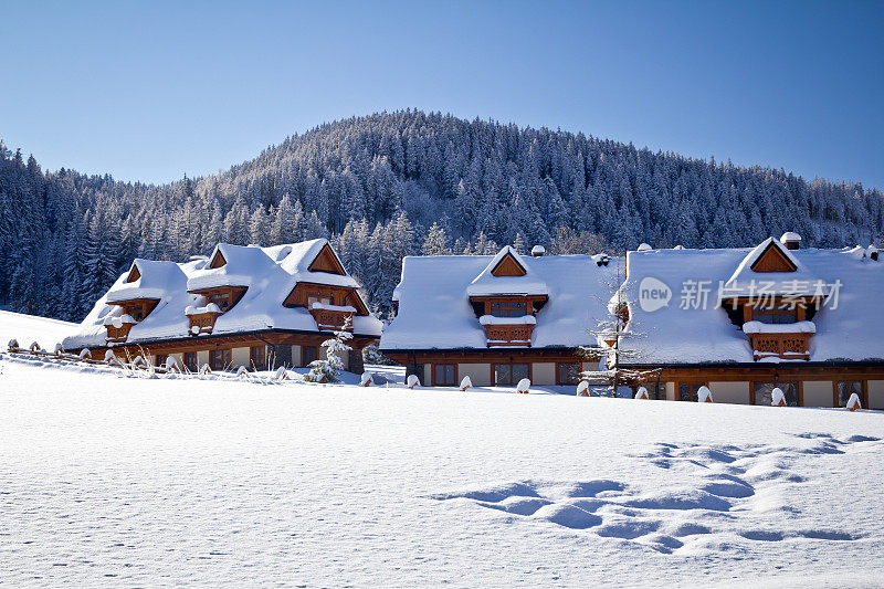 被雪覆盖的田园小木屋