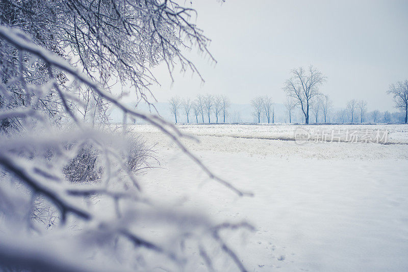 下雪的景色