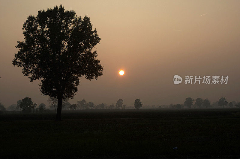 朦胧的夕阳意大利