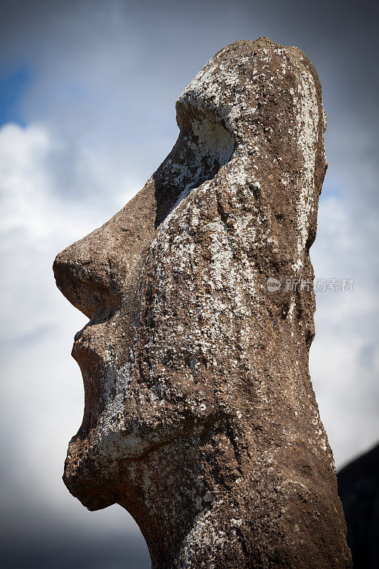 复活节岛上汤加里基的摩埃石像