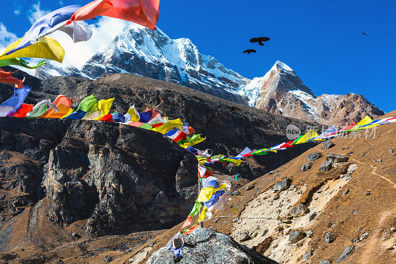 观景高山和尼泊尔佛教祈祷旗