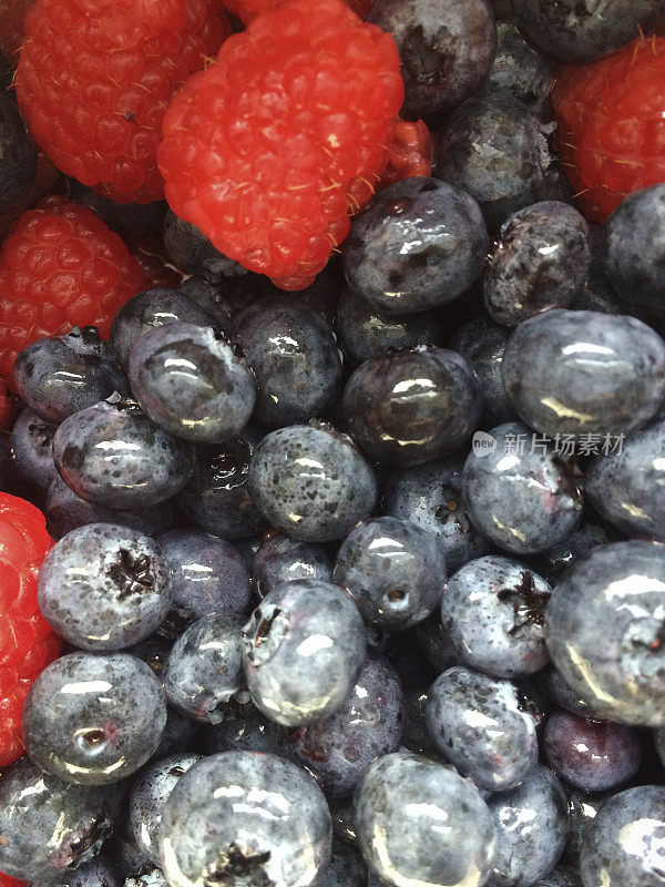 蓝莓和树莓