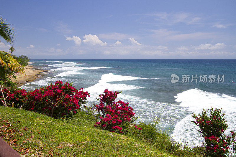 波多黎各西海岸海滩