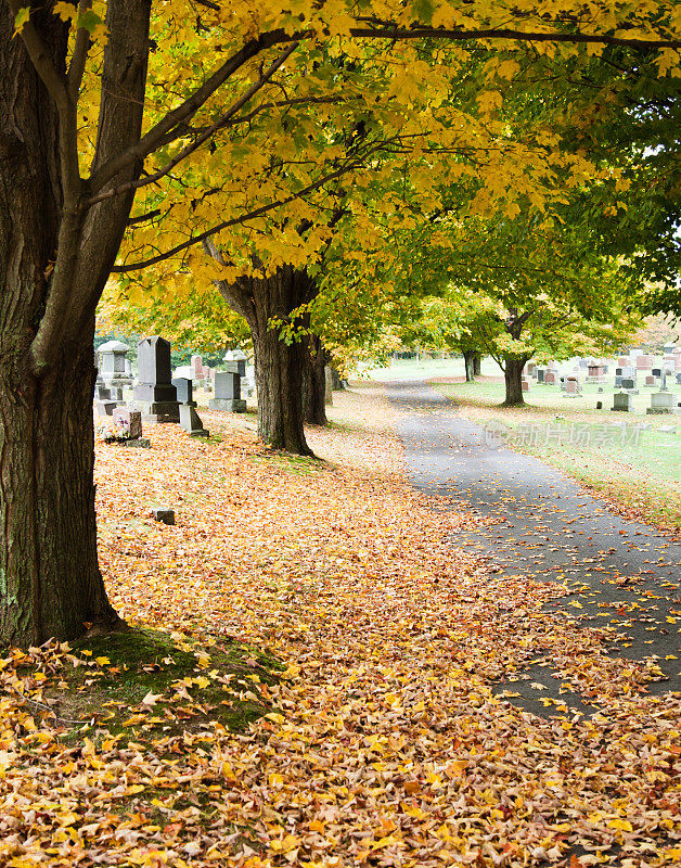 秋天穿过墓地的小路