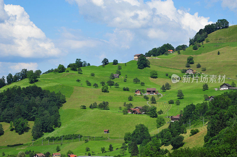 青山村