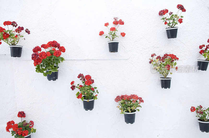 白色地中海墙上挂着红色的天竺葵盆子