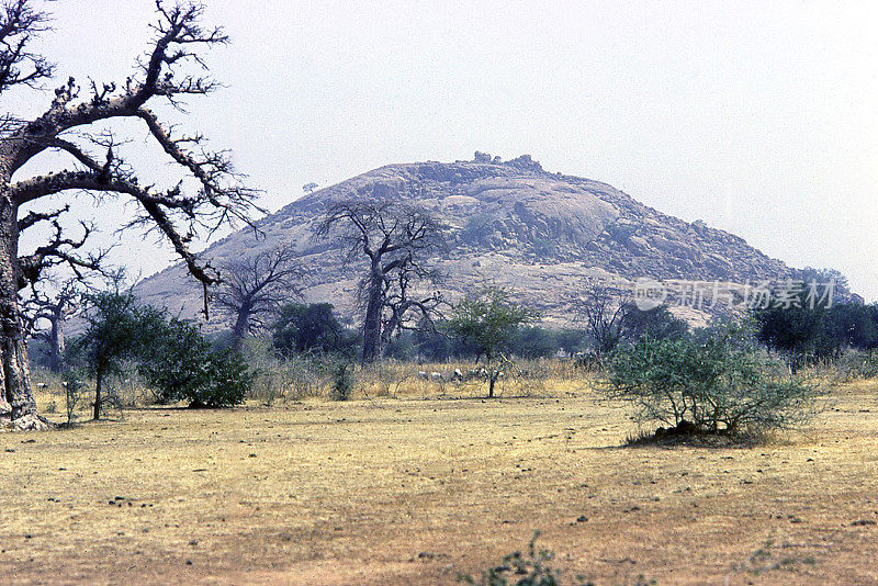 布基纳法索露出地表的圆顶状、陡峭的秃岩