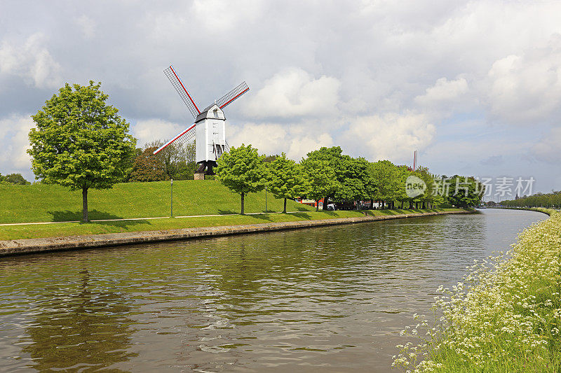 布鲁日(布鲁日)有运河和鲜花的风车