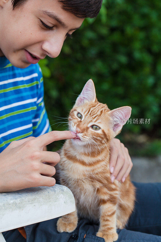 孩子与猫