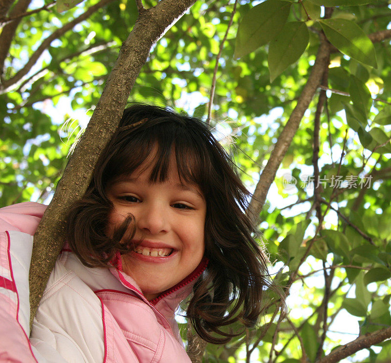 小女孩坐在树上