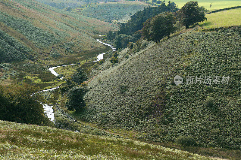 埃克斯穆尔高地山谷