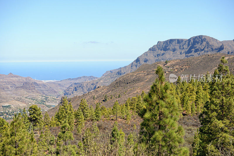 格兰卡纳利亚火山口(格兰卡纳利亚)