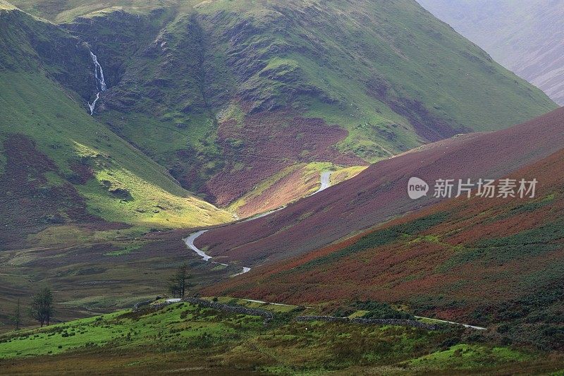 纽兰兹・豪斯和莫斯・福斯