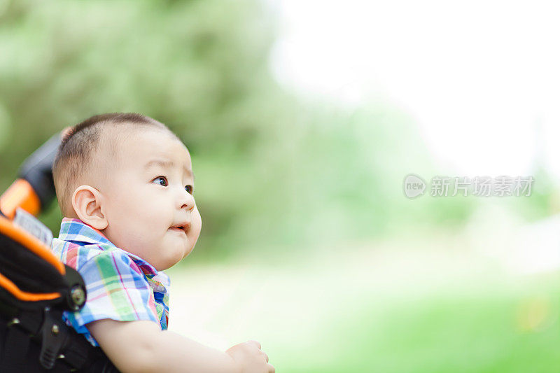 草坪上的婴儿车里的小男孩