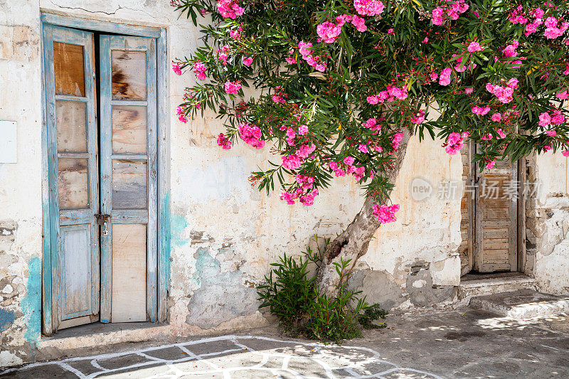 古老的门，树和花，帕罗斯，希腊