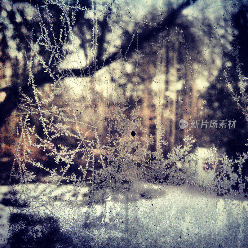 冬天冰霜冻的窗户与森林树木的背景