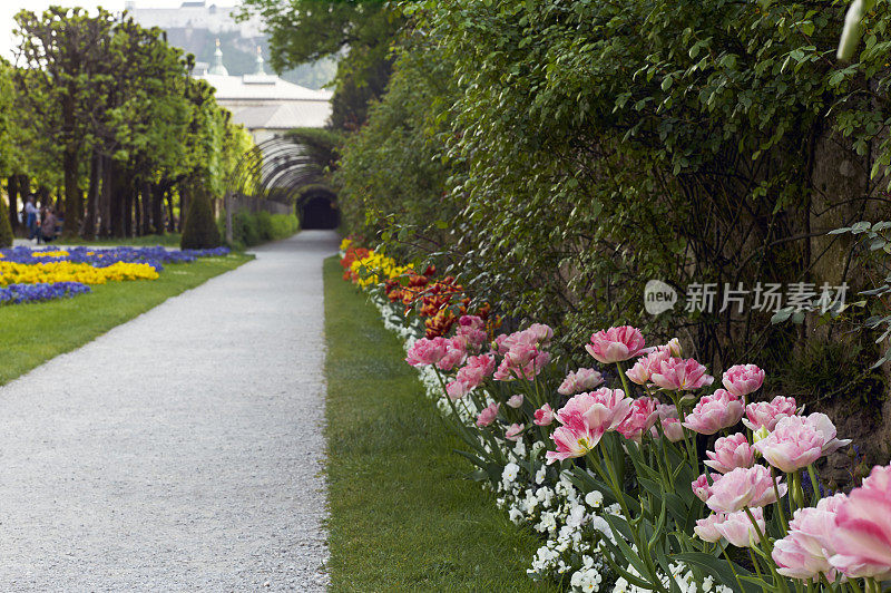 观赏花园。彩色图像