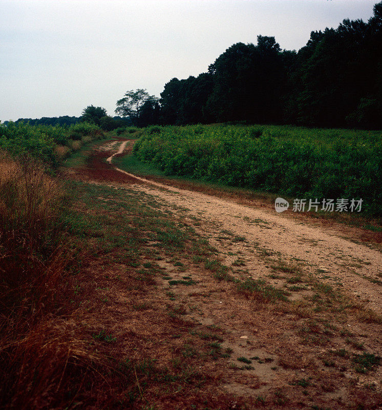 漫长而曲折的道路