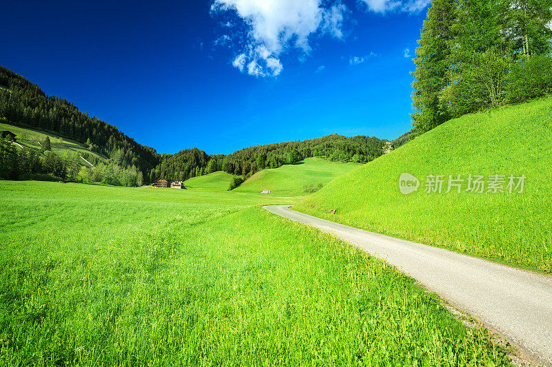 阿尔卑斯景观-起伏的山丘，草地，和乡村道路