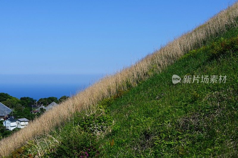 山坡上的观点