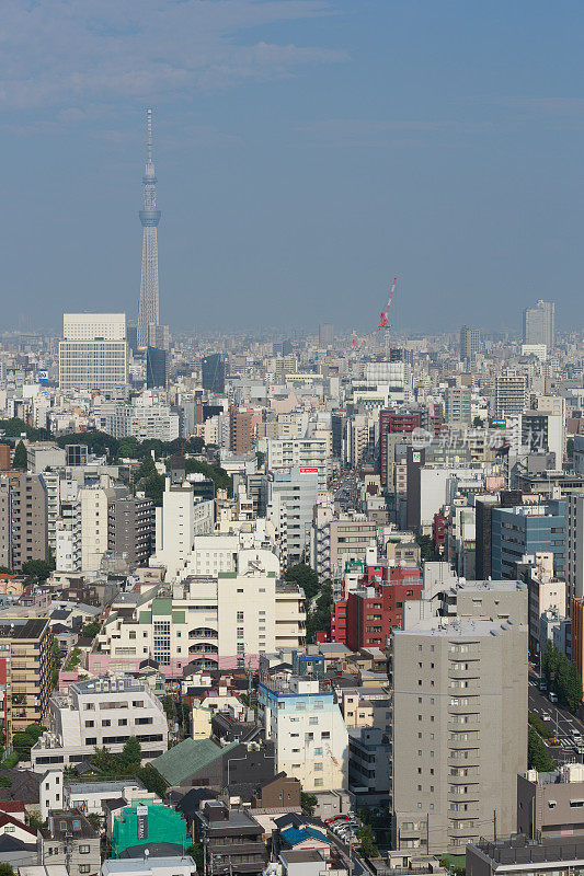 东京天际线和东京天空树在日本