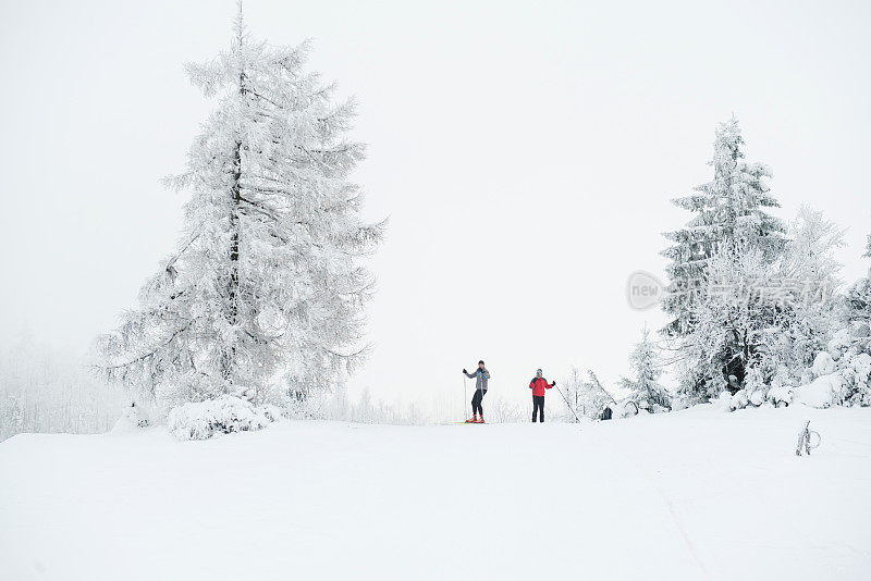 两名资深男子越野滑雪在大雾天气，欧洲