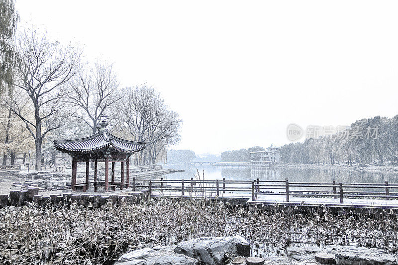 北京的一个公园里下着大雪