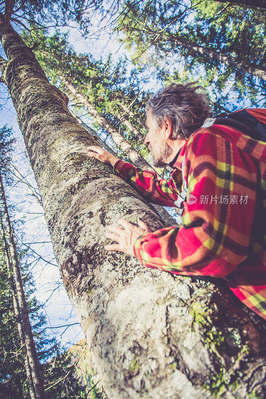 阿尔卑斯山的高级登山家