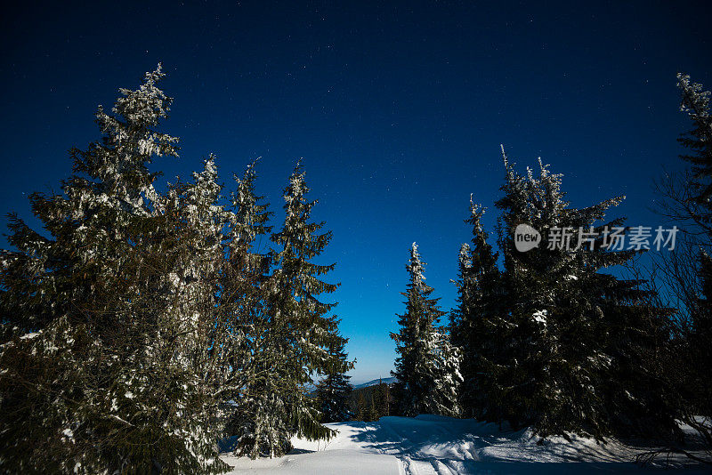 雪山里的夜星