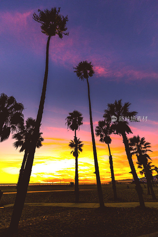 洛杉矶-圣塔莫尼卡，加利福尼亚州美丽的日落海滩