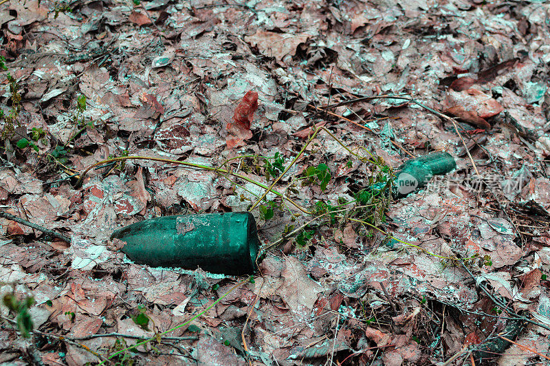 满是落叶的森林里，旧的绿色玻璃瓶躺在地上。环境污染问题