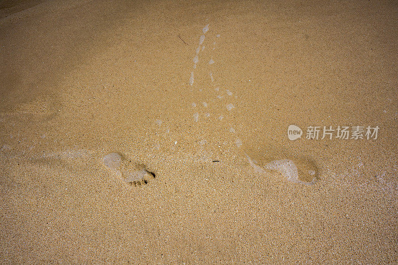 热带海滩棕色沙滩上的脚印