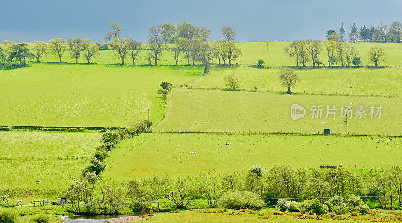 英国的风景