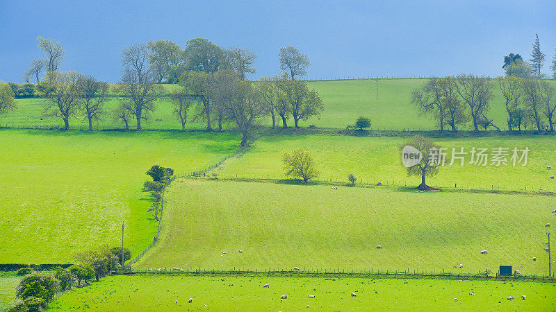 英国的风景